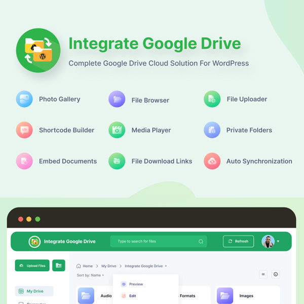 integrate google drive premium
